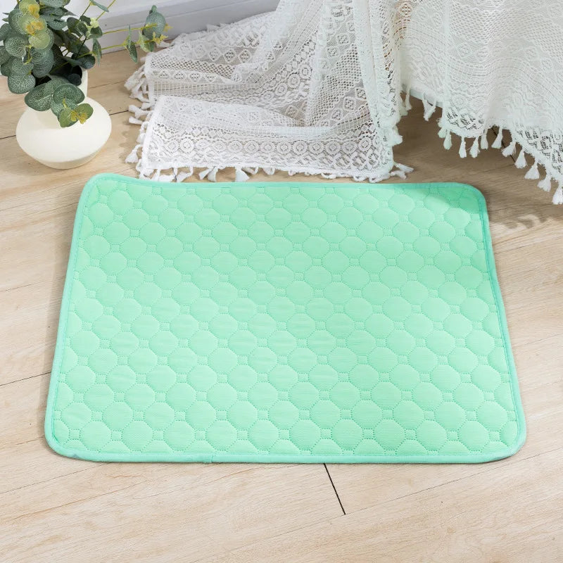 PAWELZA DryPaw™ Reusable Training Pad
