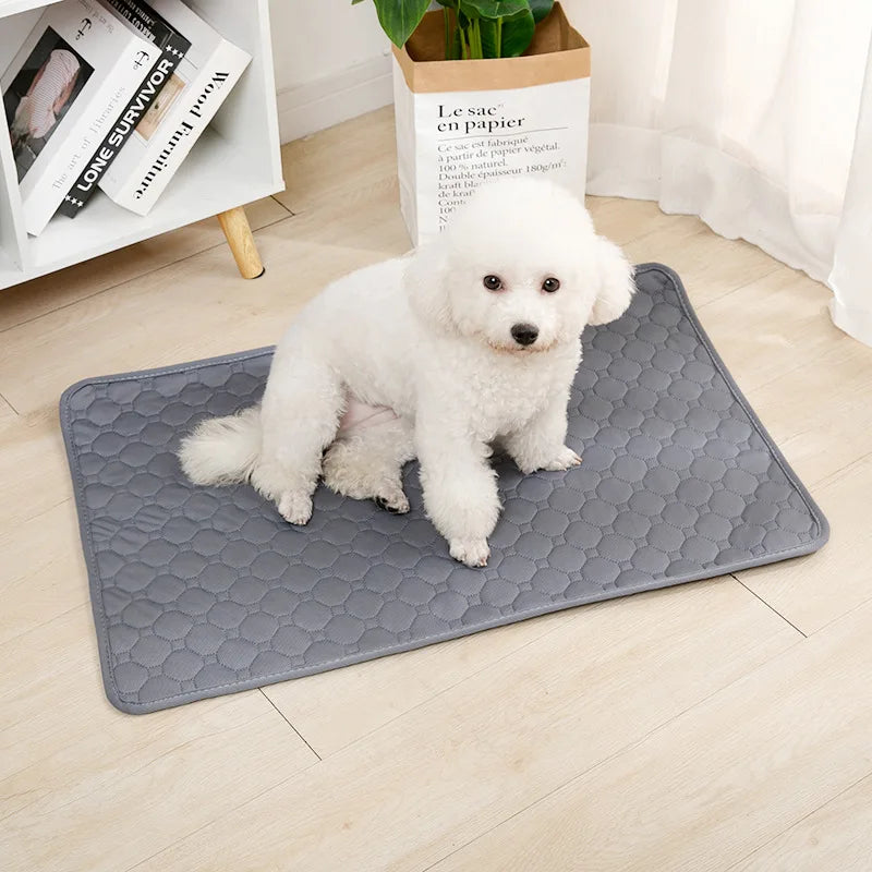PAWELZA DryPaw™ Reusable Training Pad