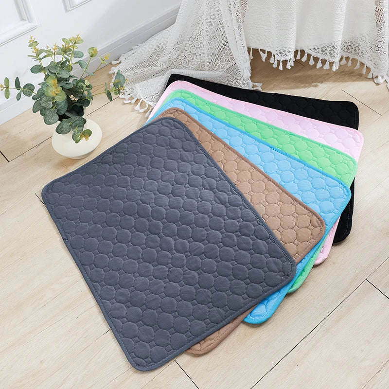 PAWELZA DryPaw™ Reusable Training Pad