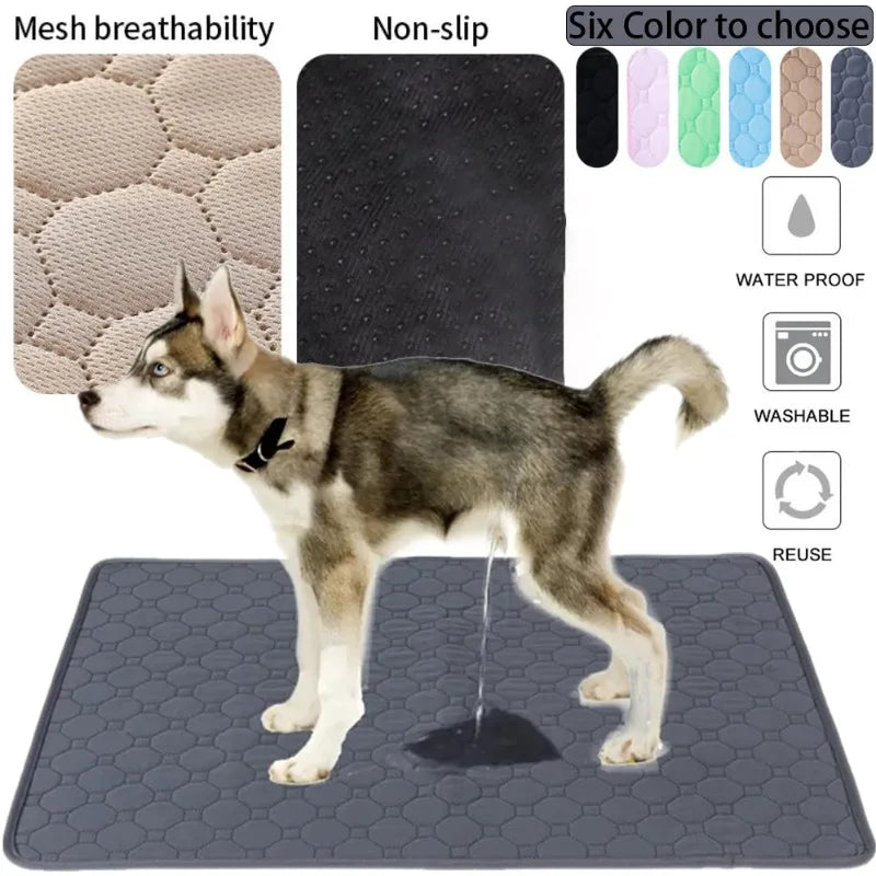 PAWELZA DryPaw™ Reusable Training Pad