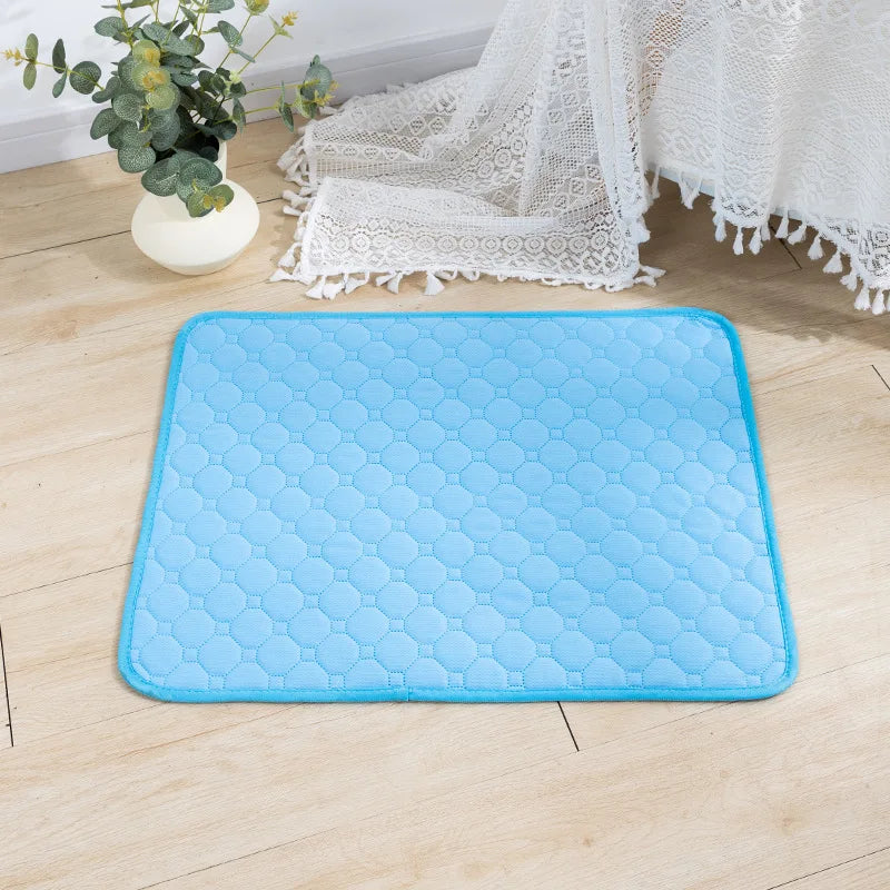 PAWELZA DryPaw™ Reusable Training Pad