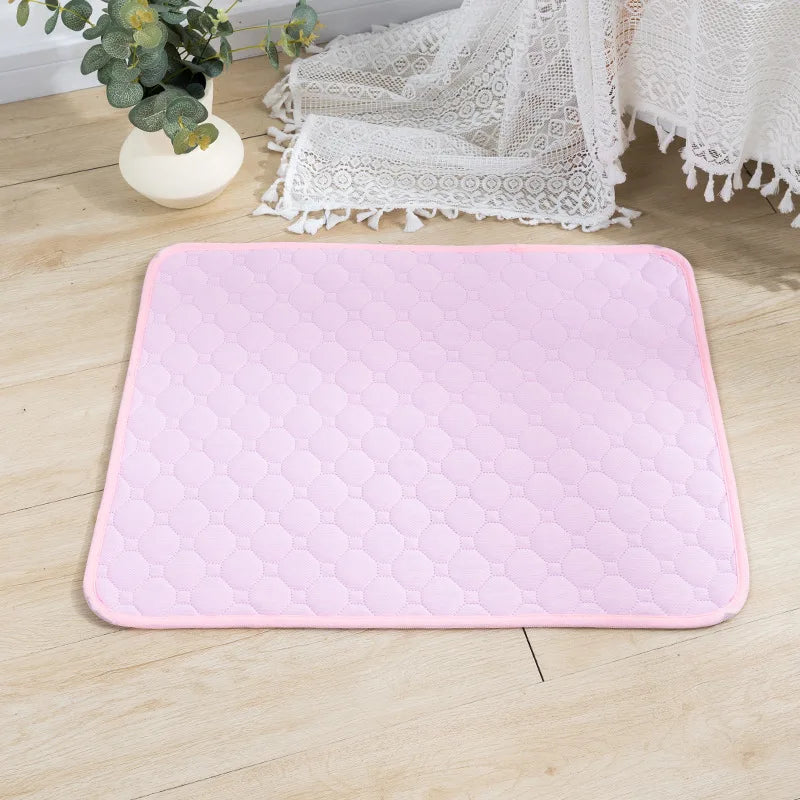 PAWELZA DryPaw™ Reusable Training Pad